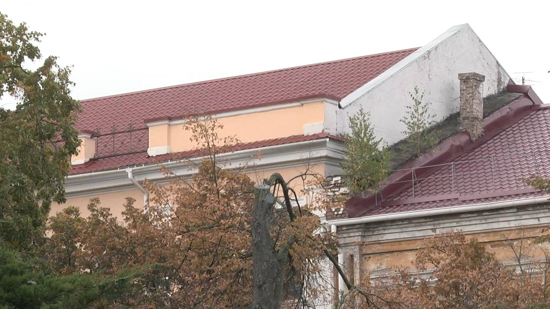 У центрі Чернігова на будинках ростуть дерева (Фото)