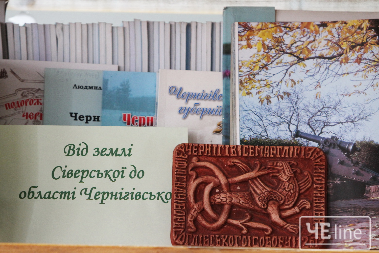 У бібліотеці Коцюбинського відкрили ілюстровану виставку до Дня міста (Фото)