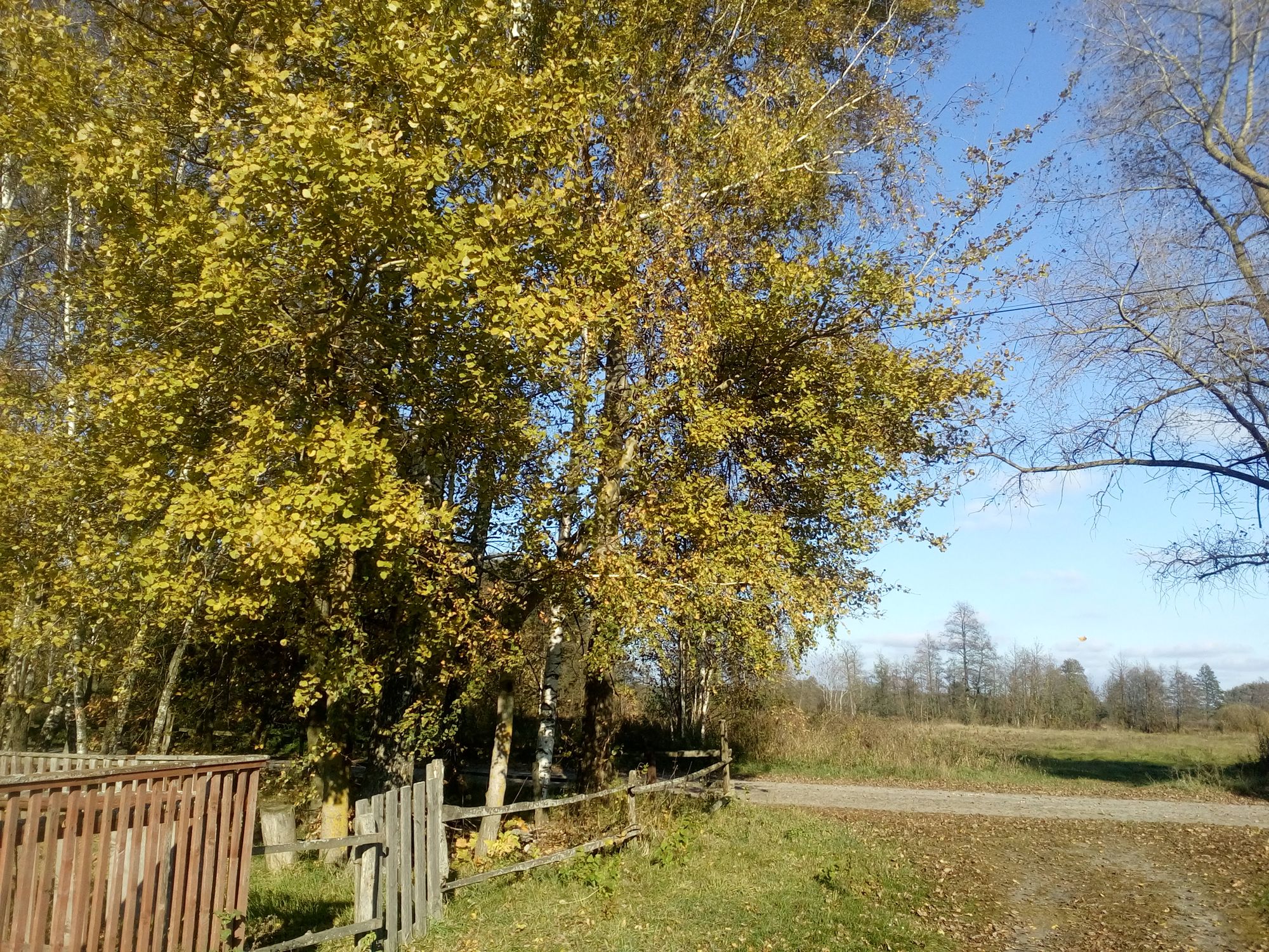 Осінь на Чернігівщині (Фото)