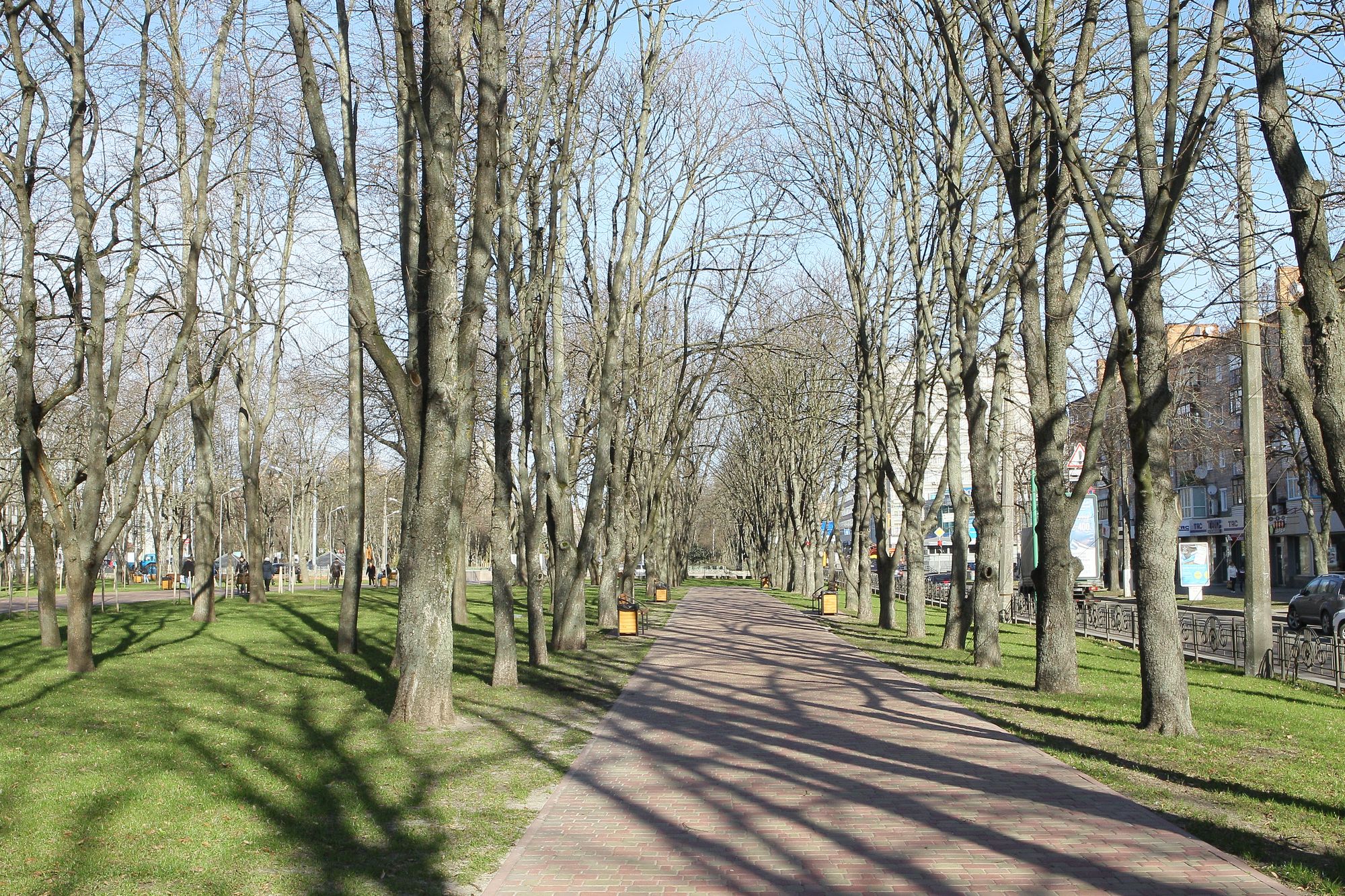 Прогулянка весняними вулицями Чернігова (ФОТОРЕПОРТАЖ)