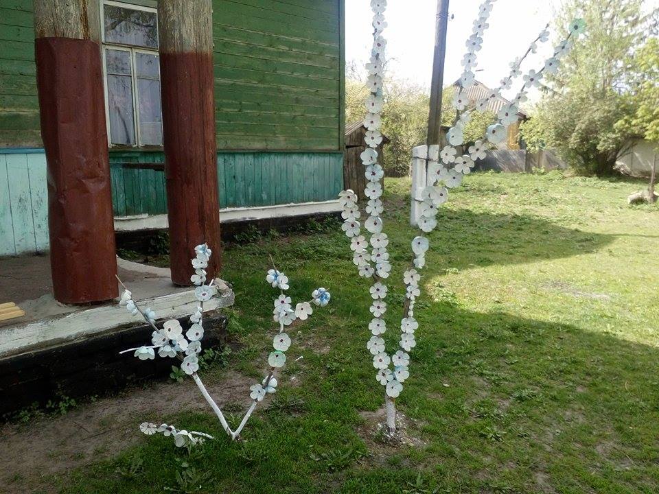 На Чернігівщині “зацвіла” оригінальна оранжерея (Фото)