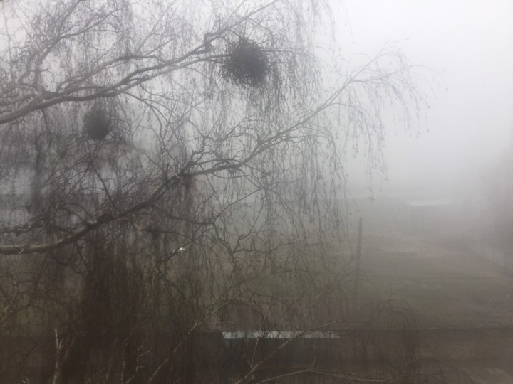 Чернігів накрило туманом: у мережі публікують дивовижні фото (Фото)