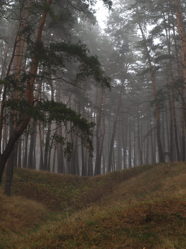 Осінні пейзажі Ялівщини (Фото)