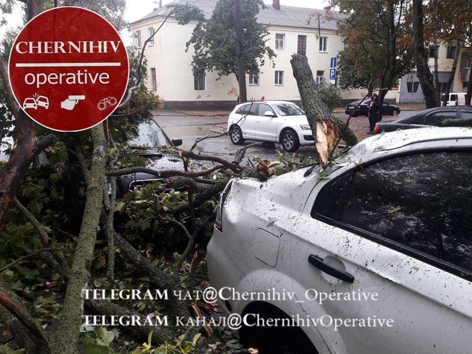 У Чернігові на автівки звалились дерева (Фото)
