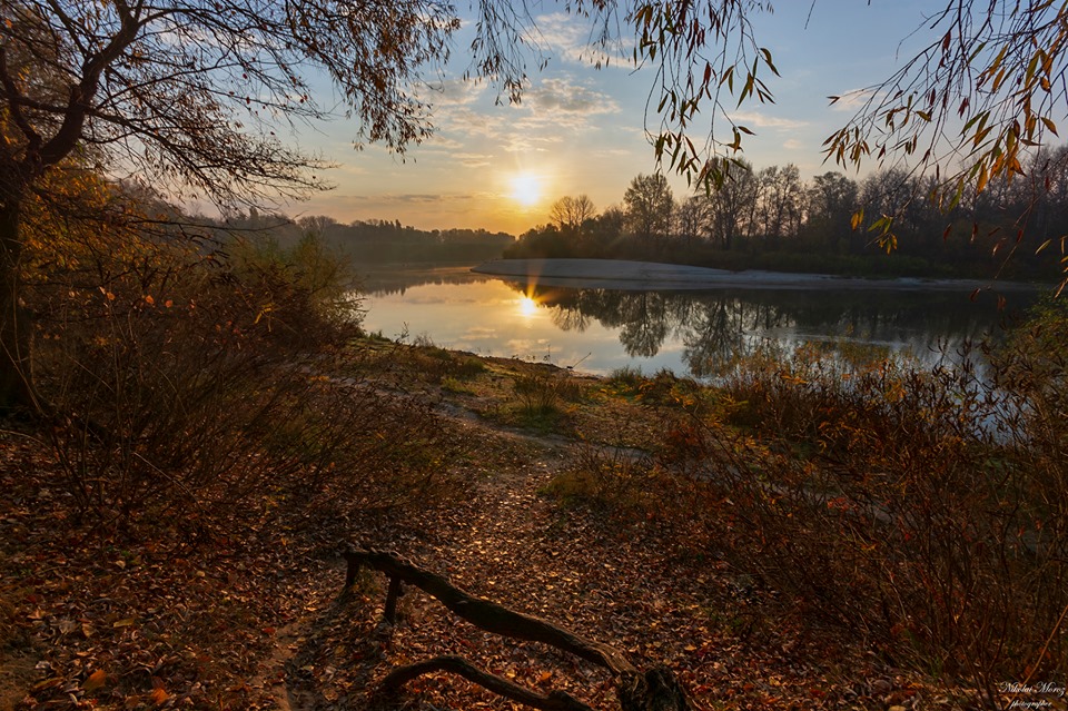 Фоторелаксація: жовтневий ранок на Десні (Фото)