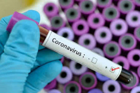 dfe499a-coronavirus