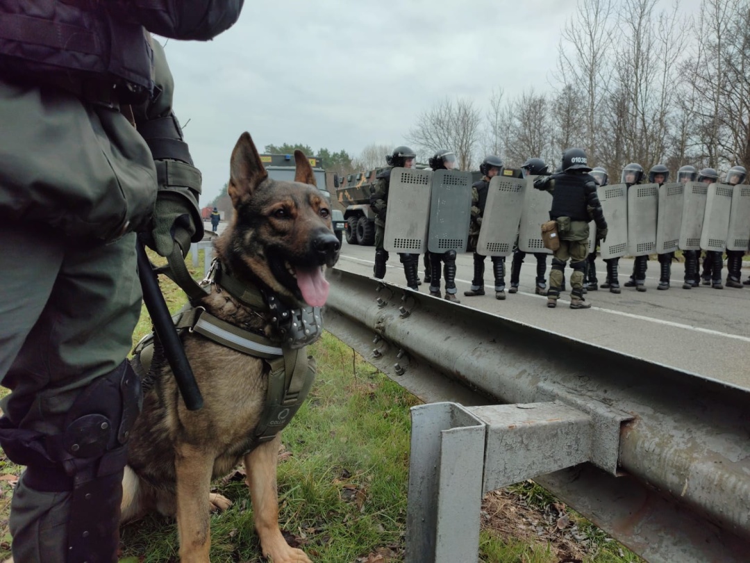 Спецоперація біля кордонів: на Чернігівщині провели штабне тренування (Фото)