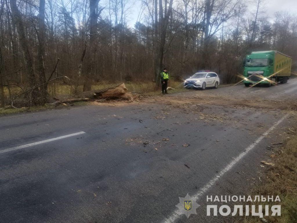 Буревій на Чернігівщині: повалені дерева блокують автодороги (Фото)