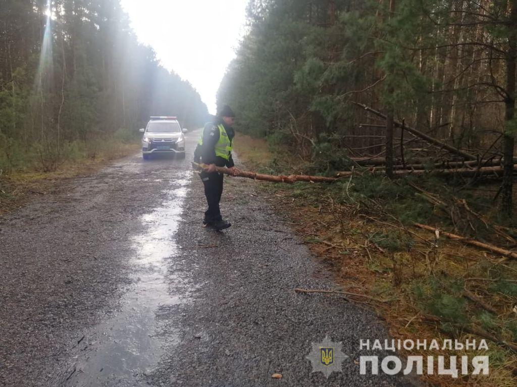 Буревій на Чернігівщині: повалені дерева блокують автодороги (Фото)