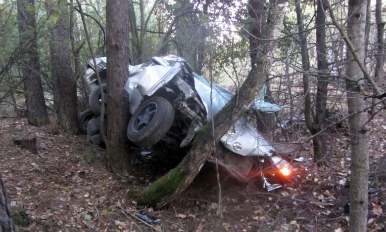 Не впорався із керування і злетів в кювет: на Чернігівщині сталася смертельна ДТП (Фото)