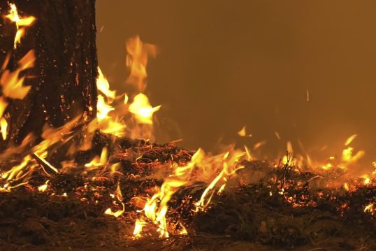 Чотири пожежі сталися за добу на Чернігівщині