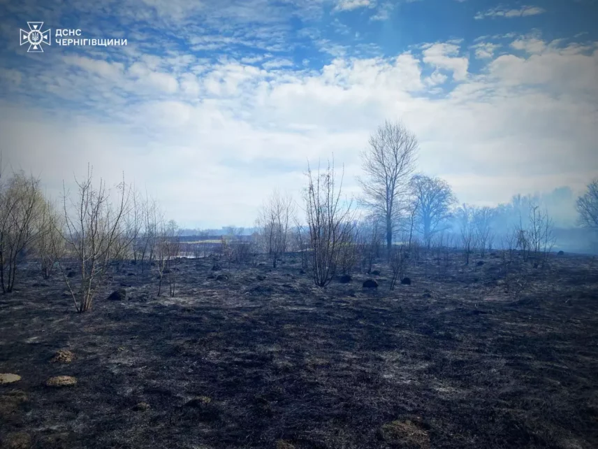 Масштабна пожежа: поблизу Количівки горять 40 гектарів сухостою (Фото)