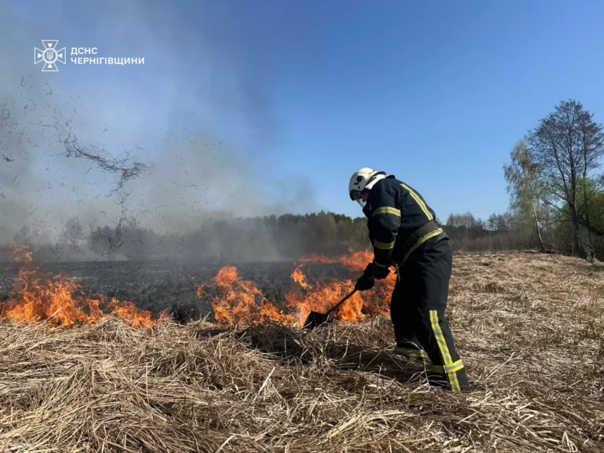 Минулої доби на Чернігівщині ліквідували 17 пожеж в екосистемах
