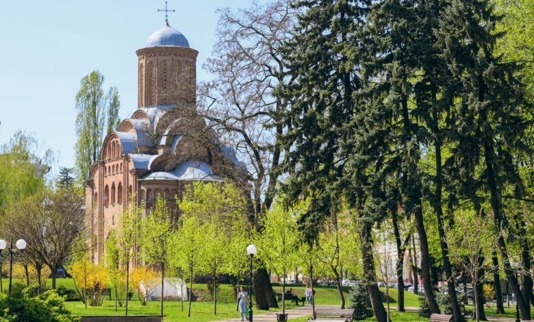 У Чернігові розквітла 100-річна вишня-антипка (Фото)
