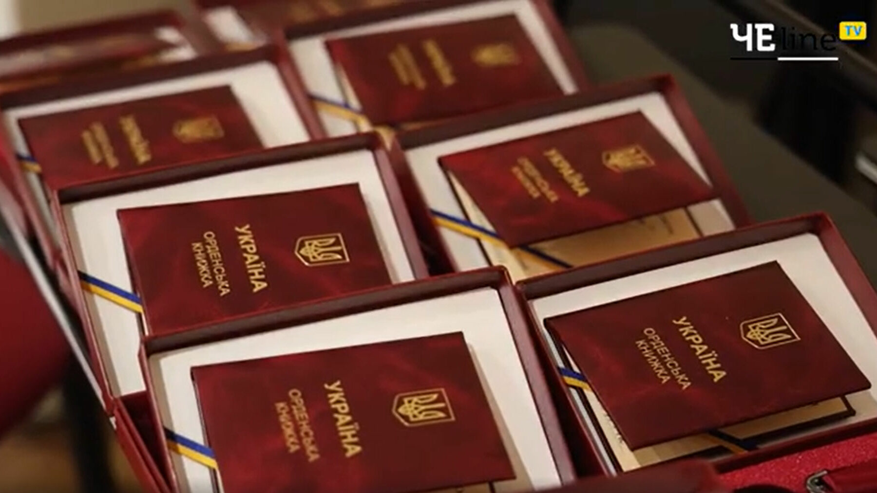 27 жителів Чернігівщини отримали державні нагороди до Дня Конституції (Відео)
